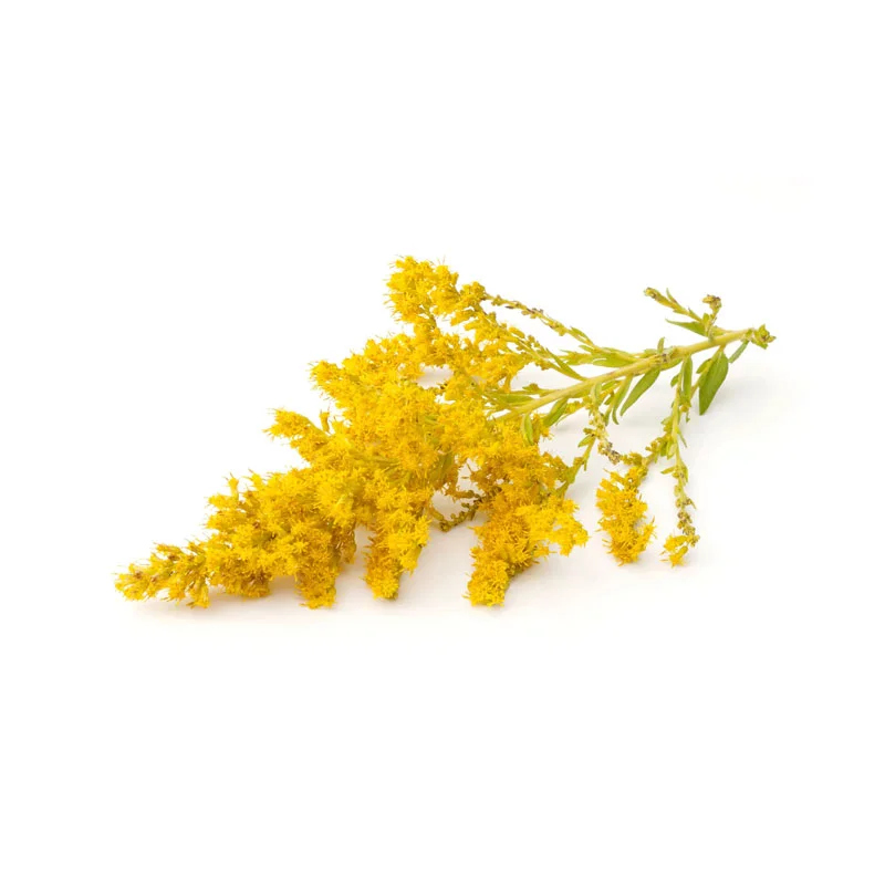 Heublumen-Extrakt Heublumen