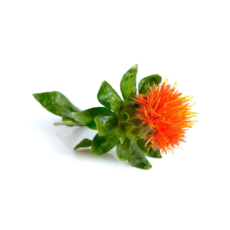 Vitamin F Färberdistelblüte