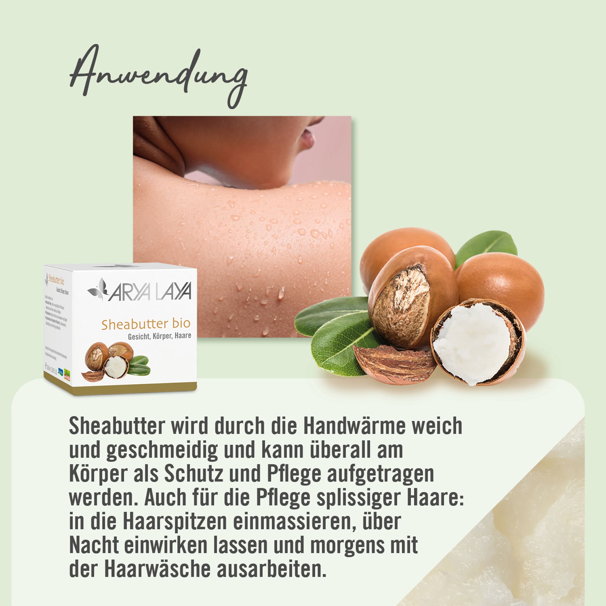 Chart Anwendung ARYA LAYA Sheabutter Anwendung ARYA LAYA Sheabutter