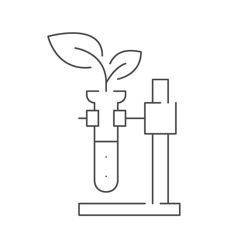 Icon: Wirksame Pflege aus der Natur Reagenzglas mit Pflänzchen