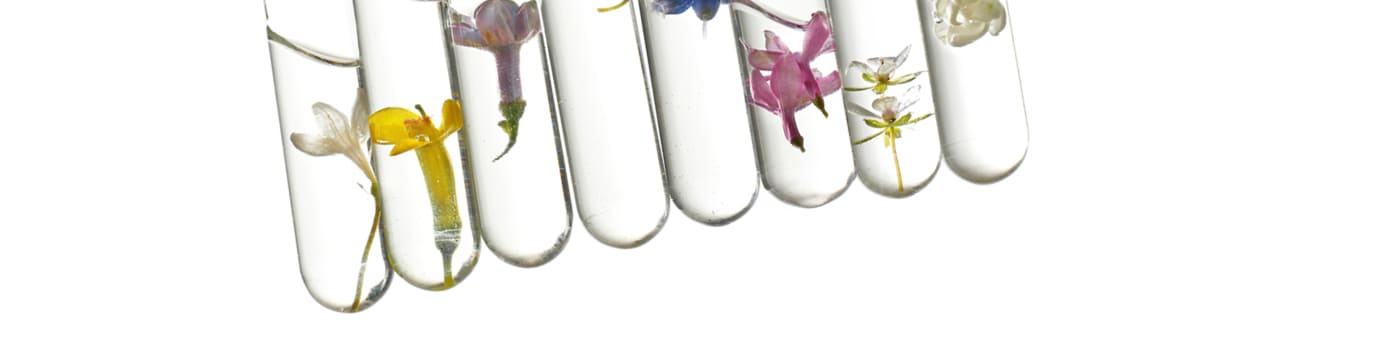 Header Über uns Verteilerseite Reagenzgläser mit natürlichen Wirkstoffen