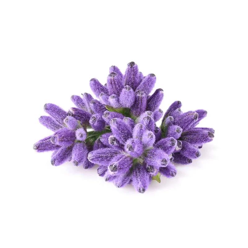 Lavandin-Öl Lavandin-Blüte
