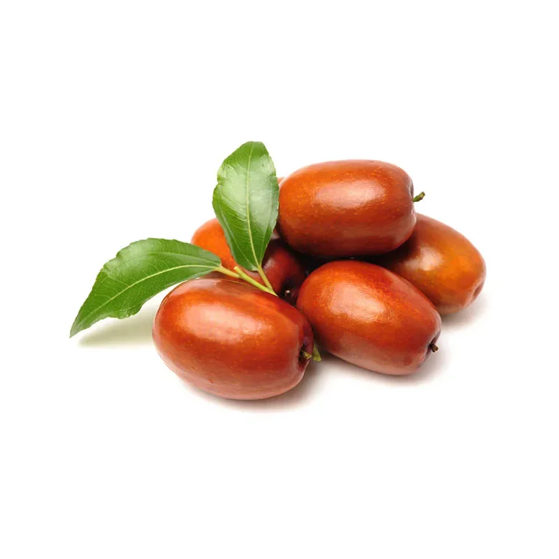 Jojoba-Öl Jojobanüsse