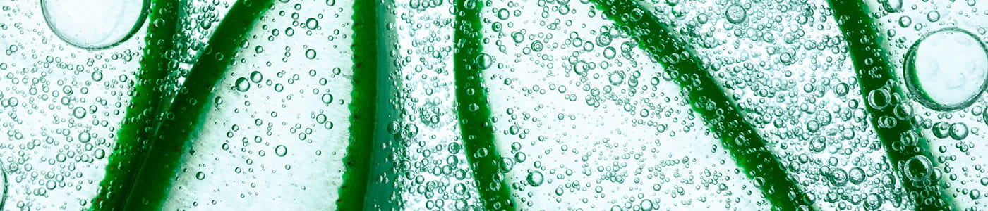 Feuchtigkeit in Aloe Vera Aloe Vera: erfrischend und feuchtigkeitsspendend