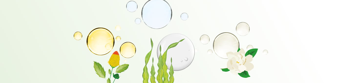 Header Hyaluron Pflegeserie Parakresse und gelbe Bläschen