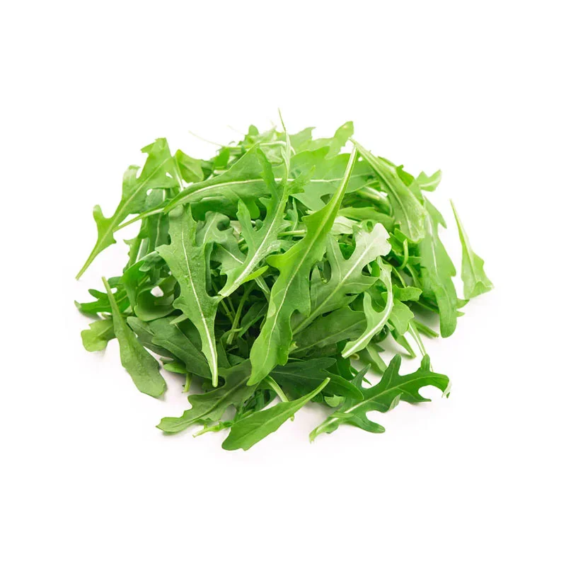 Rucola-Blätter