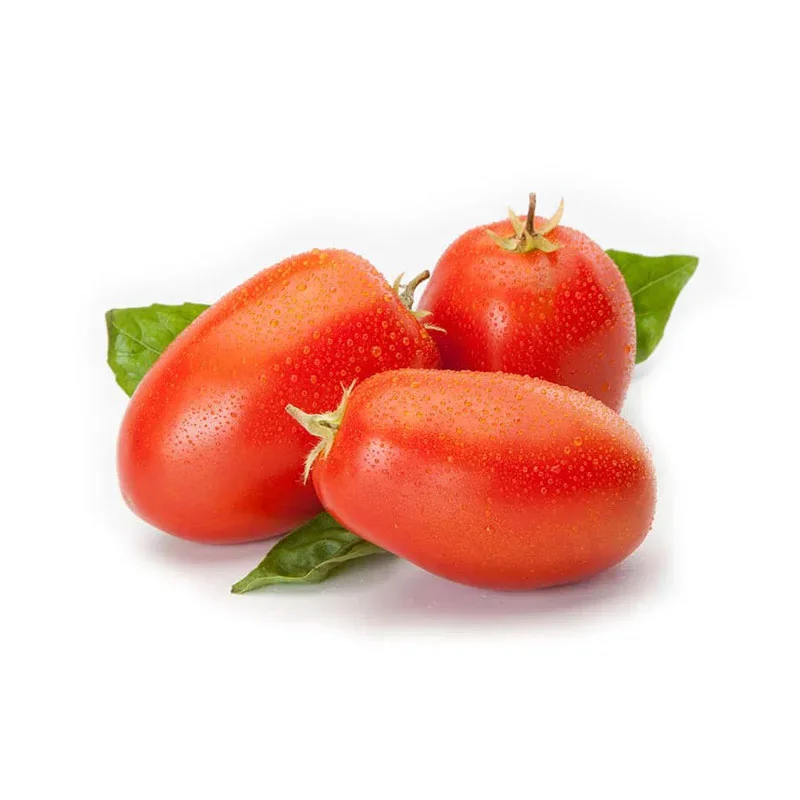 Lycopin durch Kalt-Pressung aus den Samen sonnengereifer italienischer Tomaten sonnengereifte, italienische Tomaten