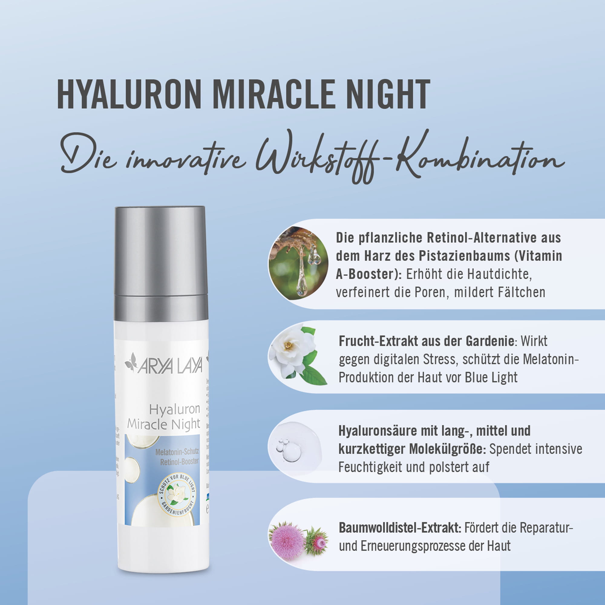 Wirkstoffe ARYA LAYA Hyaluron Miracle Night