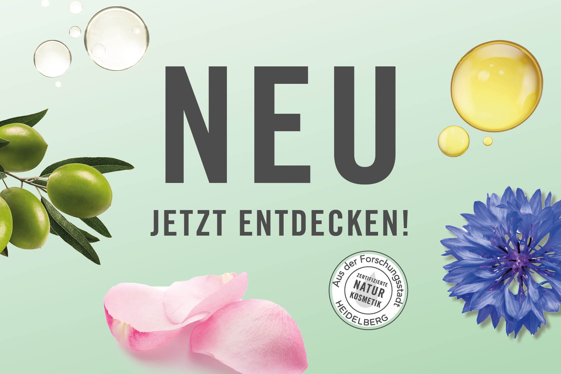 Header Neuheiten Neu: Jetzt entdecken!