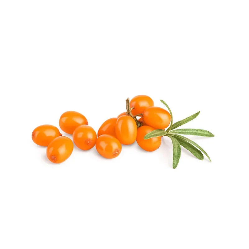 Sanddornöl Sanddornbeeren